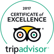 tripadvisor4